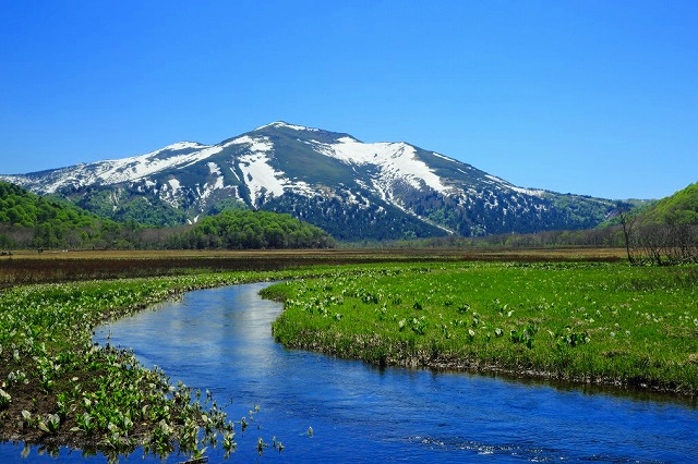 春の至仏山