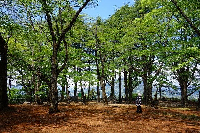 沼田城址公園