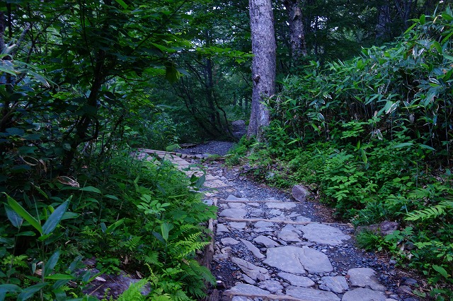 鳩待峠～尾瀬