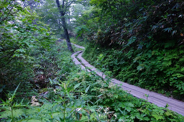 鳩待峠～尾瀬
