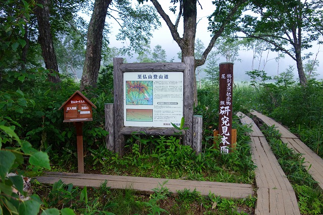 尾瀬研究見本園