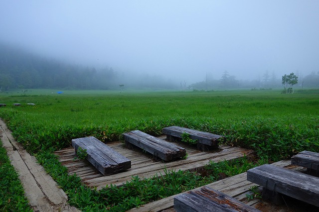 尾瀬ヶ原　至仏山登山道