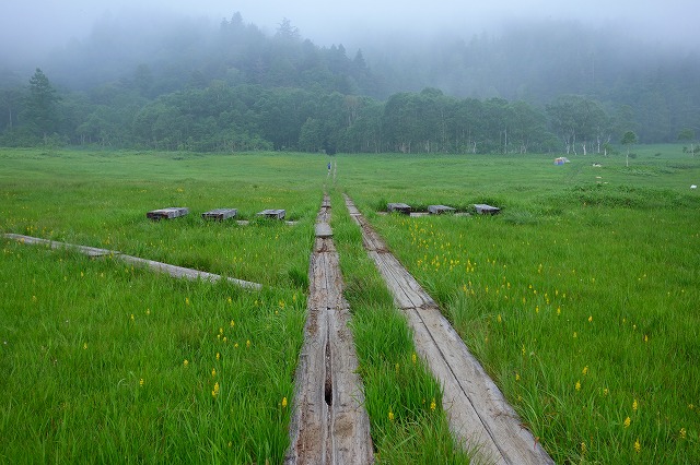 尾瀬ヶ原　至仏山登山道