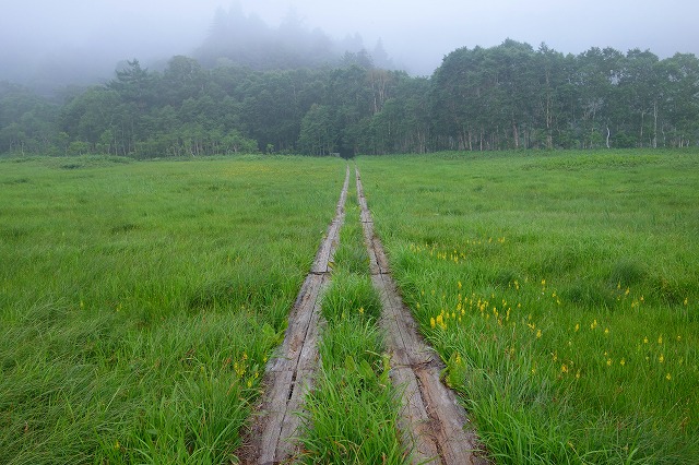 尾瀬ヶ原　至仏山登山道