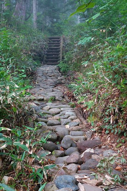 至仏山登山道