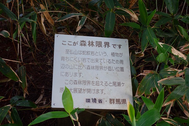 至仏山登山道