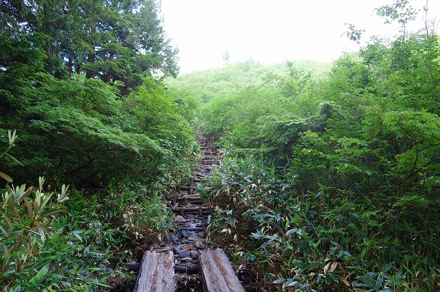 至仏山登山道