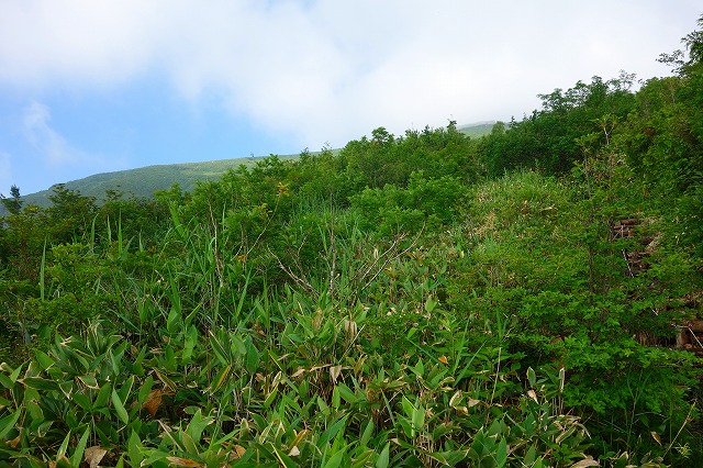 至仏山登山道