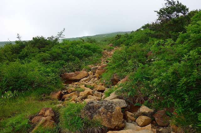 至仏山登山道
