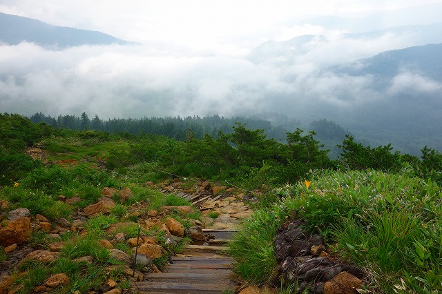 至仏山登山道