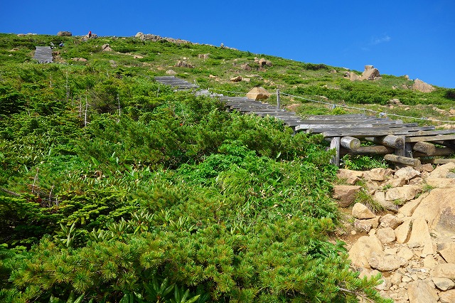 至仏山登山道