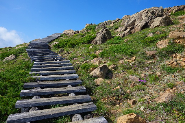 至仏山登山道