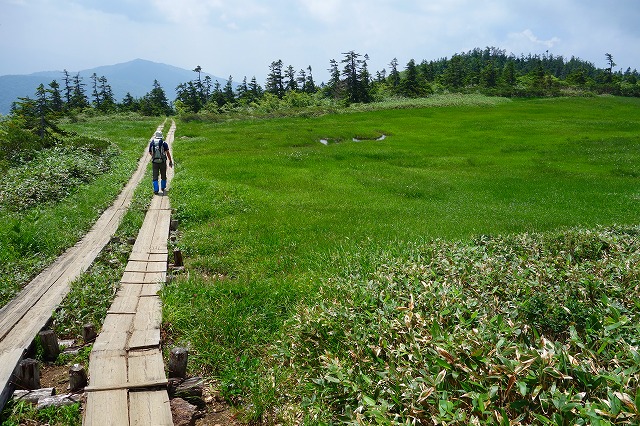 【至仏山頂～オヤマ沢田代～鳩待峠】尾瀬至仏山への日帰り登山その③