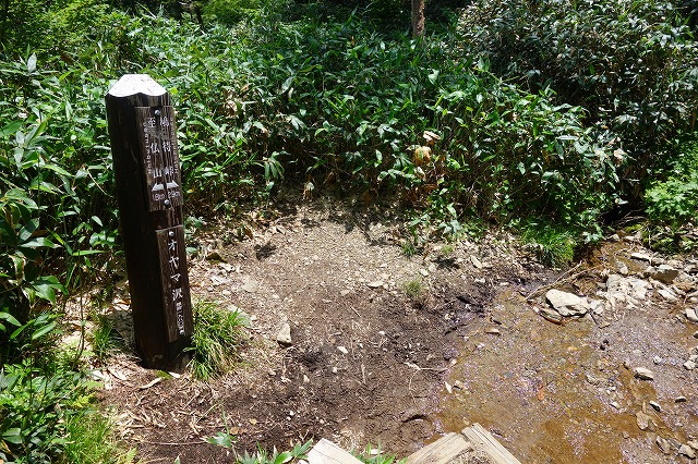 至仏山登山道