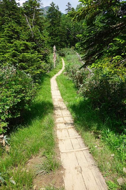 至仏山登山道