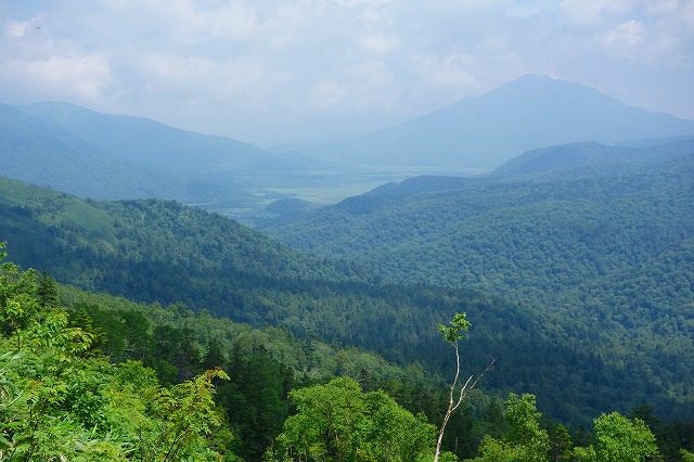 至仏山登山道