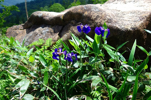 至仏山登山道