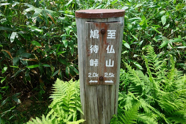 至仏山登山道