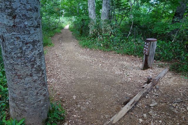 至仏山登山道