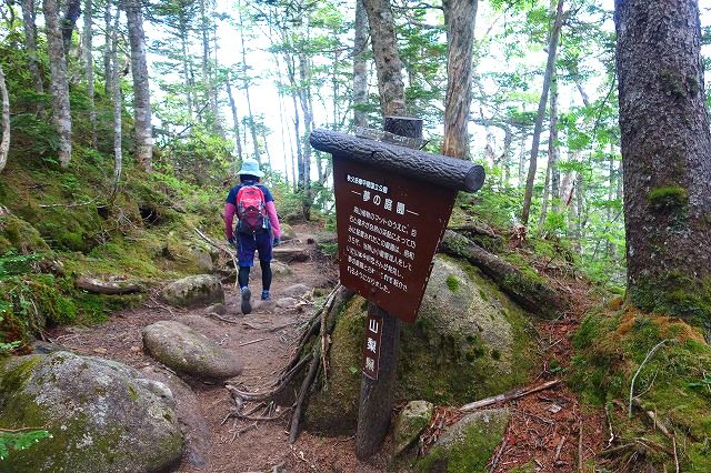 国師ヶ岳登山道