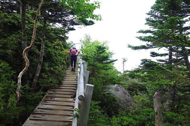 国師ヶ岳登山道