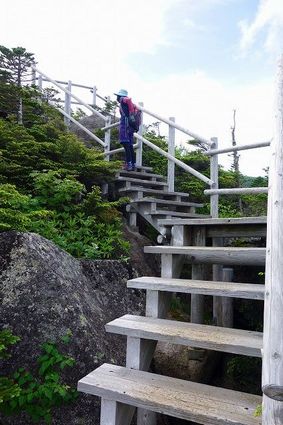 国師ヶ岳登山道