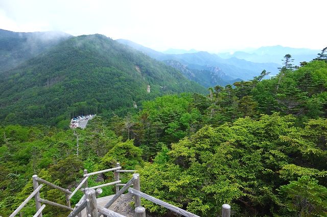 国師ヶ岳登山道