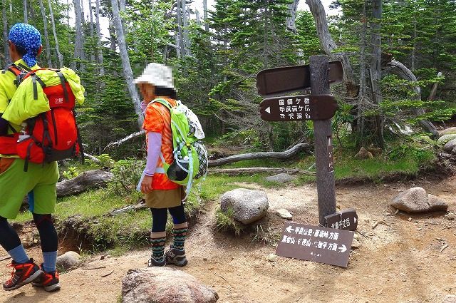 国師ヶ岳登山道
