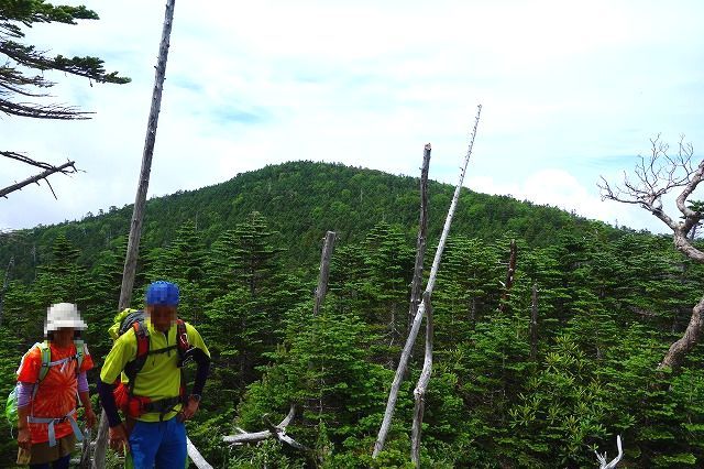 国師ヶ岳登山道から見る北奥仙丈ヶ岳