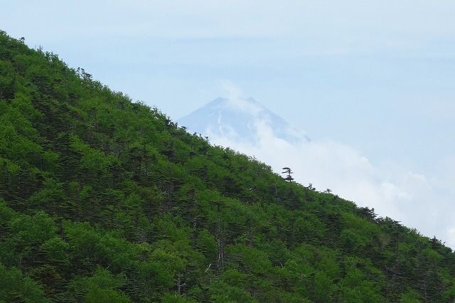 夢の庭園から見る富士山