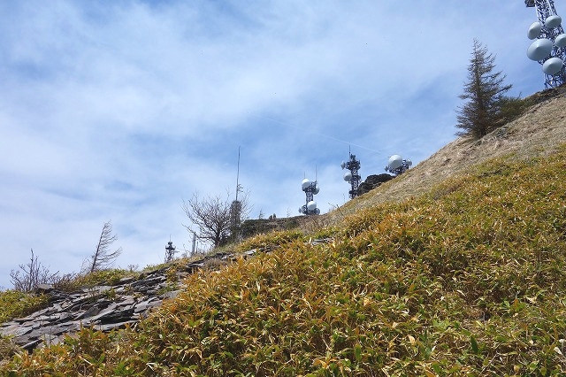 王ヶ頭山頂