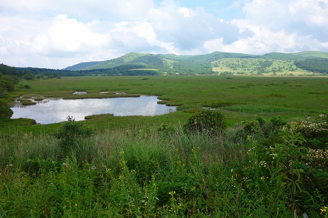 八島ヶ原湿原