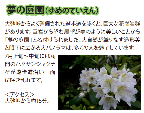 大弛峠パンフレットより