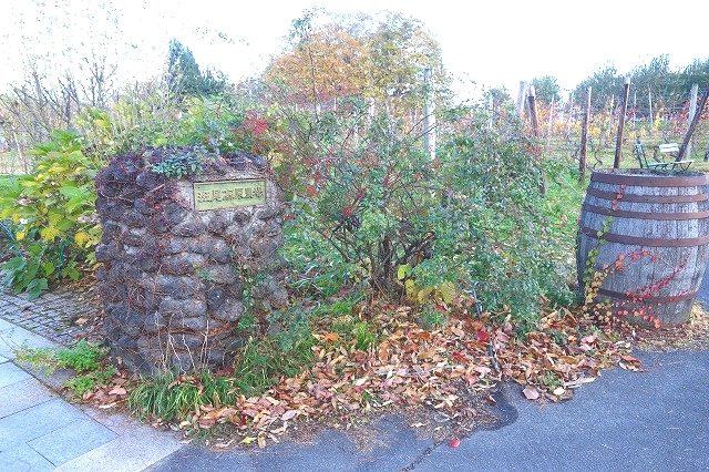 サンクゼール　ワイナリー　初冬の風景