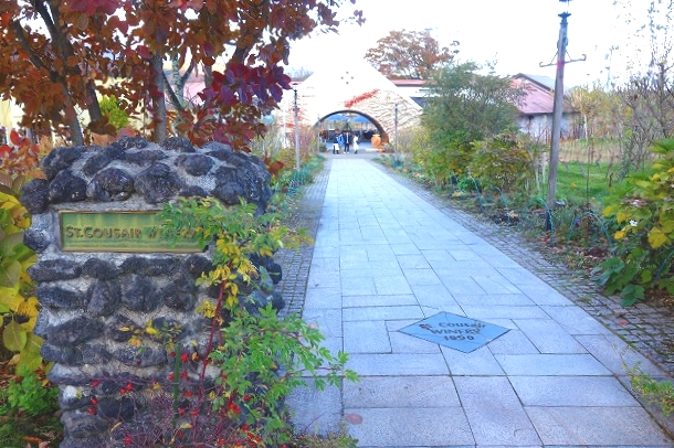 サンクゼール　ワイナリー初冬の風景