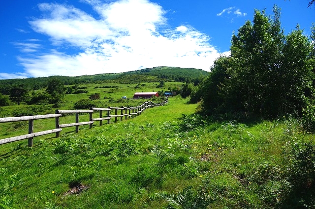 菅平牧場から見た根子岳