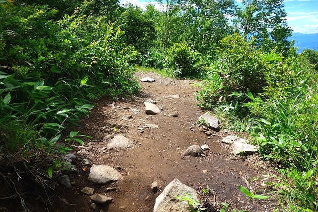 根子岳登山道休憩広場
