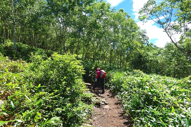 根子岳登山道の登山者