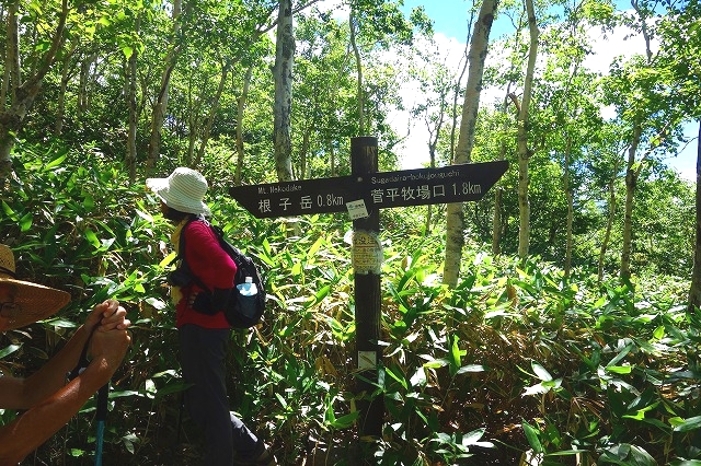 根子岳登山道標識　山頂まで0,8km