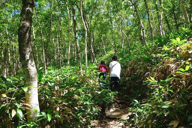 根子岳登山道を行く登山者