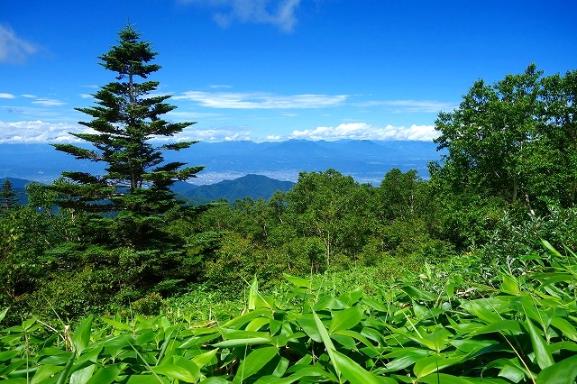 根子岳登山道からの景色