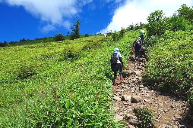 根子岳登山道を見上げる