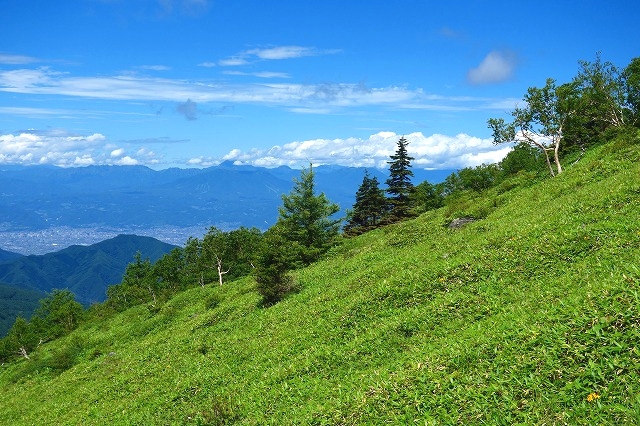 根子岳登山道から飯縄山を望む