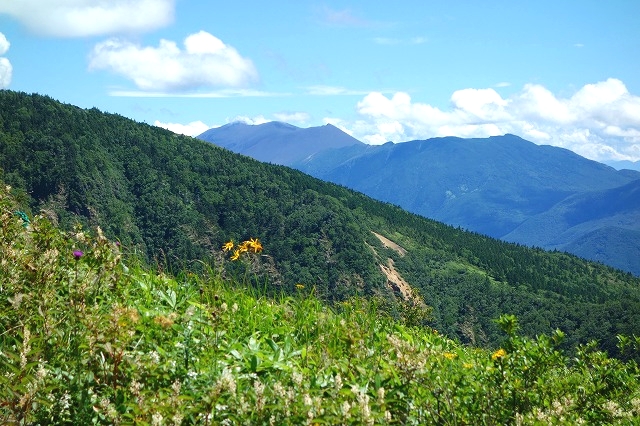 根子岳から見る浅間山