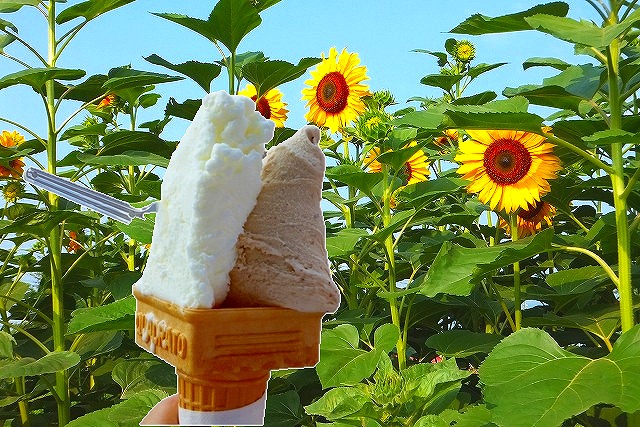 【小布施のアイスクリーム】ドライブ途中のおすすめの店はここ！