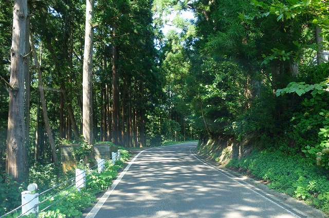 妙高山麓　笹ヶ峰への道