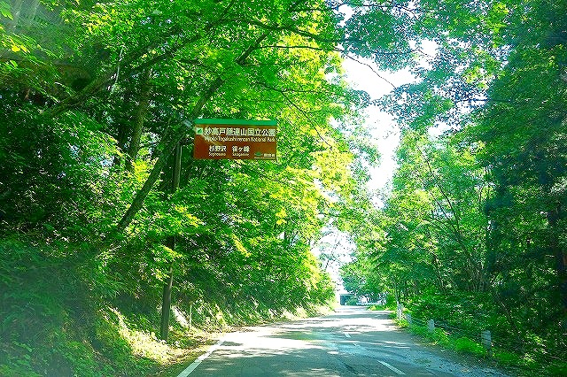 妙高山麓　笹ヶ峰への道