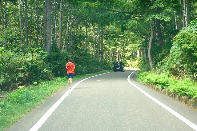 妙高山麓　笹ヶ峰への道