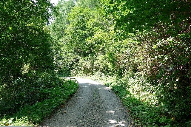 妙高高原公園線