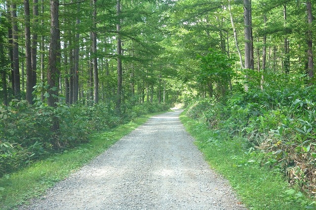 妙高高原公園線